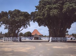 Mitos Melewati Beringin Kembar Alun-alun Kidul Jogja dan Berhasil Melintasinya