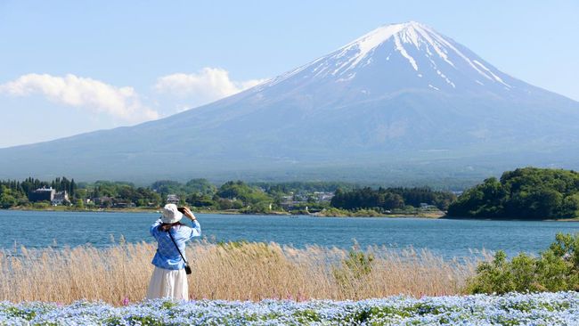 Mau Liburan ke Jepang? Ini Daftar Biaya yang Naik pada 2026