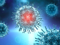 Bikin Merinding, Tweet Lama Soal Prediksi Hantavirus 2026 Viral Lagi