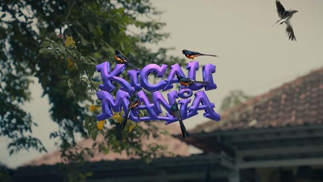 Lirik Lagu Kicau Mania yang Viral di TikTok