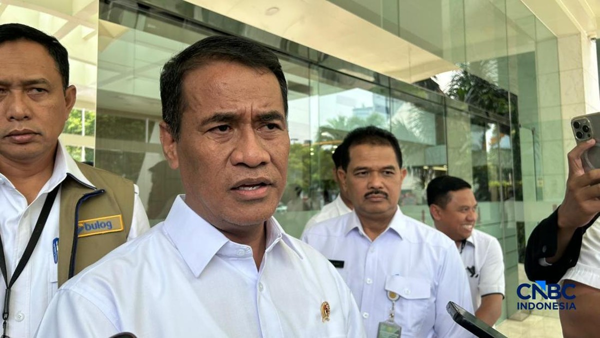Amran Minta Anggaran Badan Pangan Ditambah Rp17,73 T, untuk Apa?