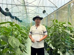 BRI Dorong Petani Paprika Organik hingga Tembus Hotel