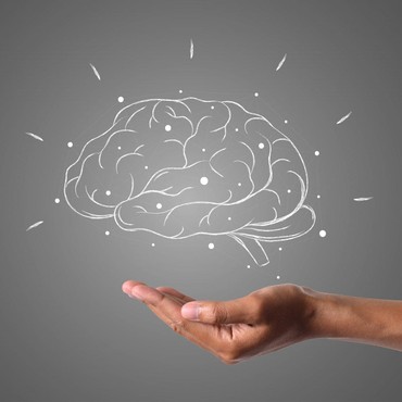 Bukan Cuma IQ! Ini 4 Jenis Kecerdasan Manusia yang Wajib Dikembangkan Seimbang