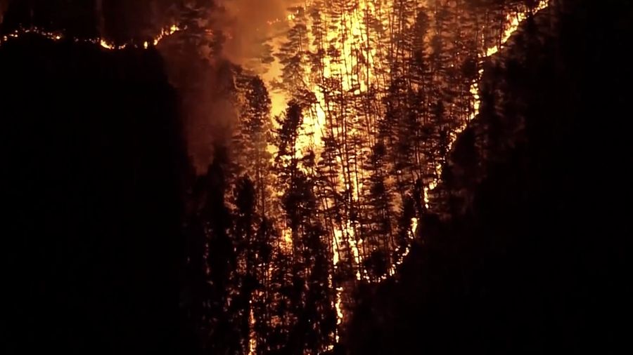 Lebih dari 1.800 penduduk di Jepang bagian utara diperintahkan mengungsi akibat kebakaran rimba nan terjadi pada Rabu (22/4/2026).