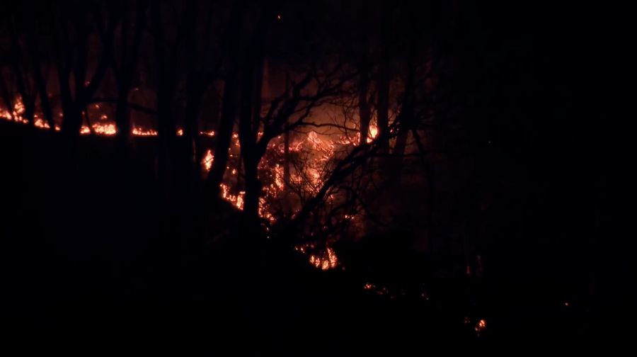 Lebih dari 1.800 penduduk di Jepang bagian utara diperintahkan mengungsi akibat kebakaran rimba nan terjadi pada Rabu (22/4/2026).