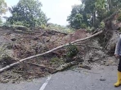 Longsor Sepanjang 30 Meter Tutup Jalinsum di Taput-Tapsel
