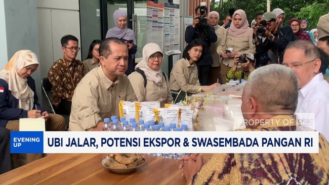 Video: Ubi Jalar Potensi Ekspor dan Swasembada Pangan RI