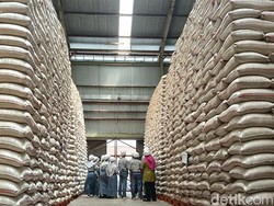 Panen Melimpah, Indramayu Pastikan Beras Aman Tanpa Impor