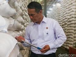 Stok Beras Tembus Rekor Tertinggi, Mentan: 2026 Tidak Impor!