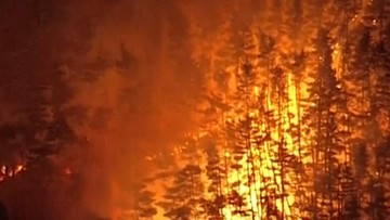 Kebakaran Hutan di Prefektur Iwate Jepang, 1.800 Warga Mengungsi