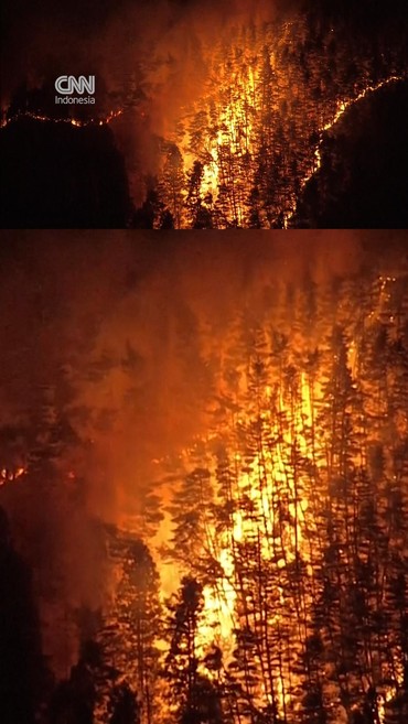 Kebakaran Hutan di Prefektur Iwate Jepang, 1.800 Warga Mengungsi