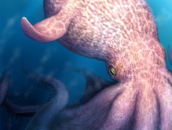 Ngeri! Gurita 19 Meter Ini Jadi Predator Laut Zaman Dinosaurus