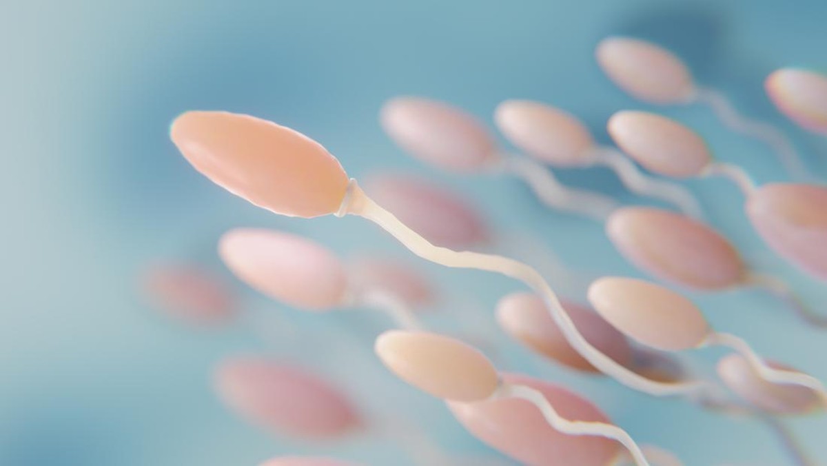 Simpan HP di Kantong Bisa Merusak Kualitas Sperma? Ini Kata Dokter