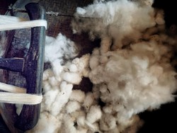 Ironi Kapas Indonesia, Jadi Simbol Negara Tapi Ketergantungan Impor