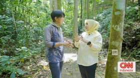 VIDEO: Bu Rosita Ungkap Kenapa Bibit Pohon 1 Meter Lebih Ideal