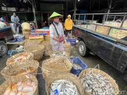 Harga Ikan Tawar di Lamongan Anjlok 50%, Petani-Pengepul Menjerit