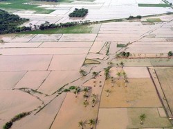 Jamin Ketahanan Pangan, Satgas PRR Percepat Rehabilitasi Sawah di Sumatera