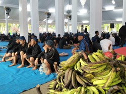 1.515 Warga Baduy Jalan Kaki 40 Km ke Pendopo Bupati Lebak Bawa Hasil Bumi