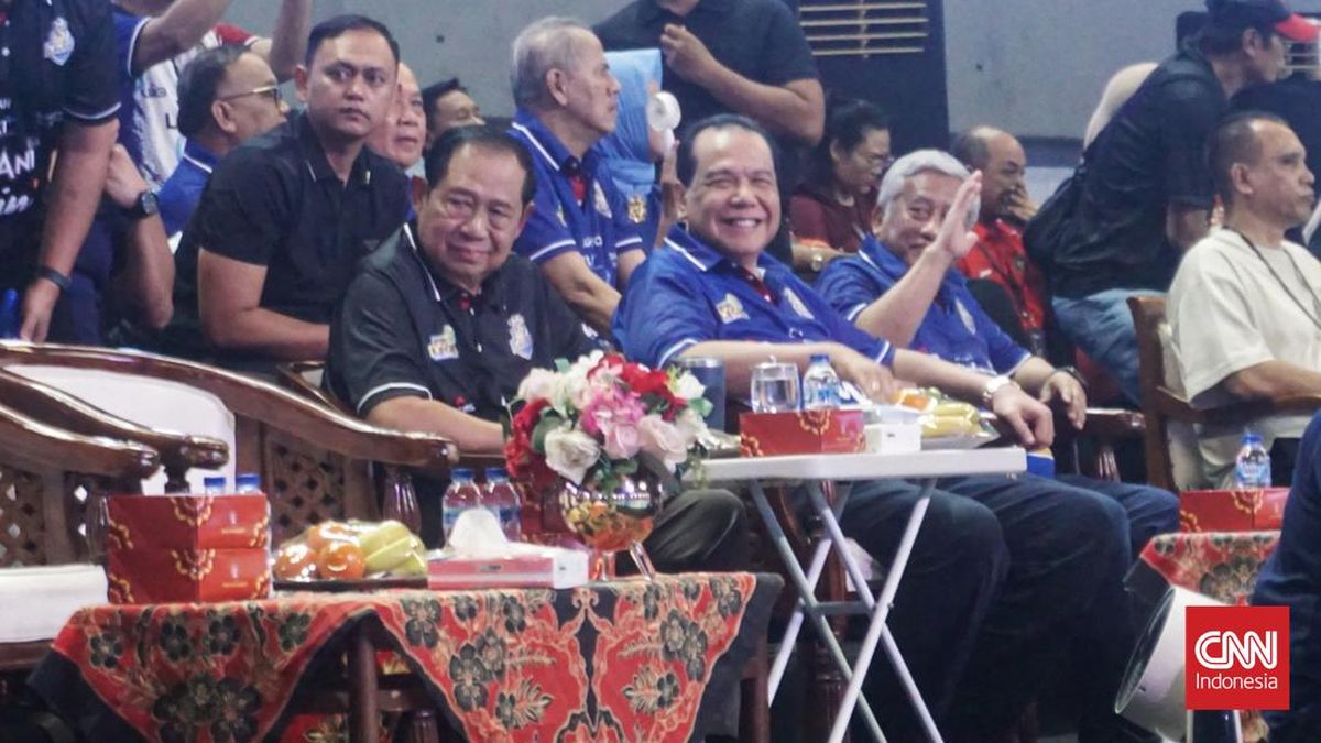 Grand Final Proliga: Sby Dan Ct Nonton Aksi Lavani Livin Transmedia