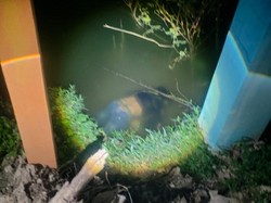 Satu dari 2 Pelajar Tewas Tercebur Telaga Ngebel Usai Motor Tabrak Pohon