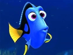 Dory Kembali! Pixar Konfirmasi Proyek Baru Finding Nemo