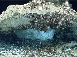 BRIN Ungkap RI Punya Potensi Metana Hidrat Melimpah 800 TSCF, Alternatif Energi Fosil