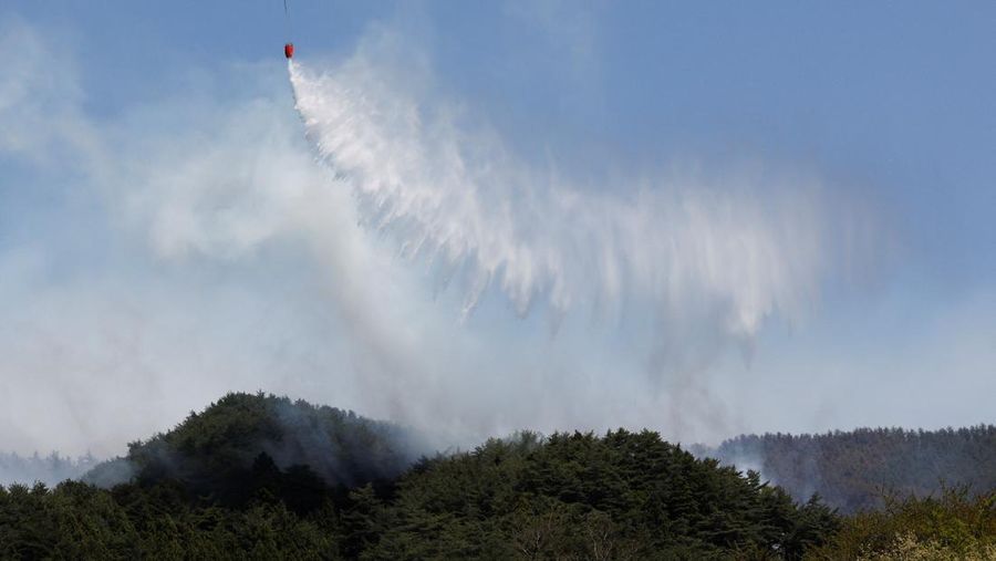 Jepang mengerahkan sekitar 1.400 petugas pemadam kebakaran dan 100 personel Pasukan Bela Diri (SDF) untuk menangani kebakaran rimba besar nan terus melanda wilayah pegunungan utara negara itu selama lima hari berturut-turut, Minggu (26/4/2026). (REU