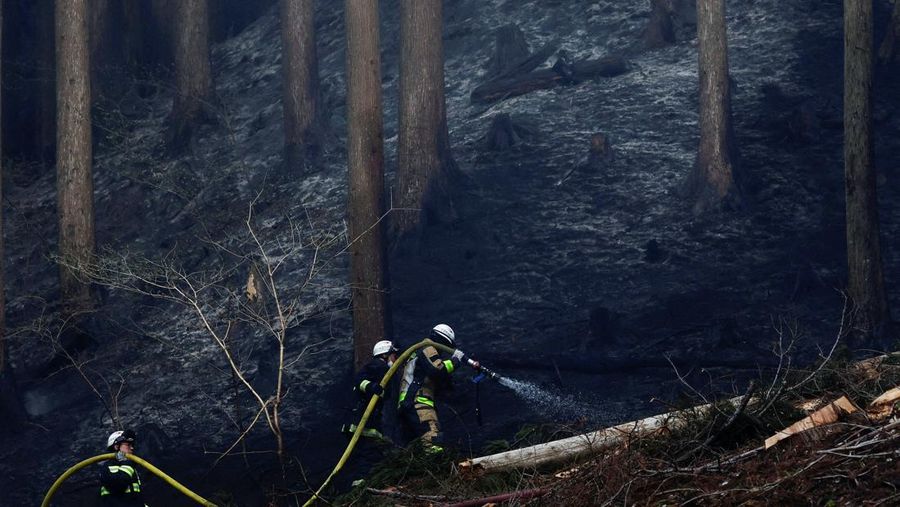 Jepang mengerahkan sekitar 1.400 petugas pemadam kebakaran dan 100 personel Pasukan Bela Diri (SDF) untuk menangani kebakaran rimba besar nan terus melanda wilayah pegunungan utara negara itu selama lima hari berturut-turut, Minggu (26/4/2026). (REU