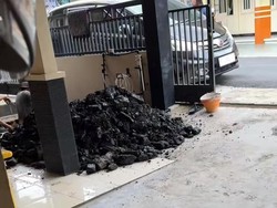Viral! Warga Kaltim Gali Septic Tank Malah Temukan Tambang Batu Bara