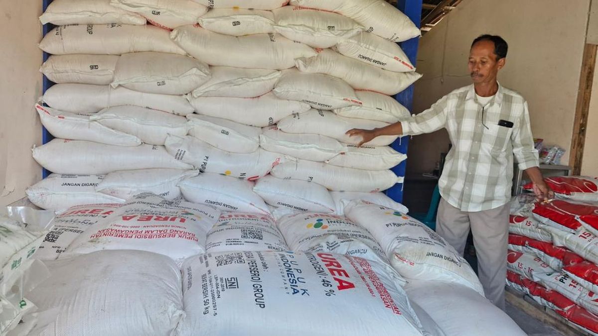 Panen di Cilacap Tembus 10 Ton/ha karena Stok Pupuk Subsidi Terjamin