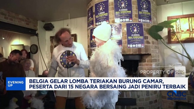 Video: Belgia Gelar Lomba Teriakan Burung Camar