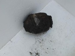 Benda Diduga Granat Ditemukan di Cirebon, Polisi: Kemungkinan Aktif