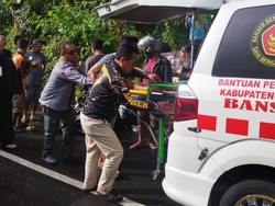 Tragis! Mahasiswa Tewas Tertimpa Pohon Saat Kendarai Motor di Ungasan Badung