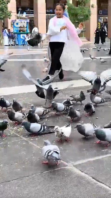 Bermain Bersama Ribuan Merpati di Masjid Nabawi di Musim Haji