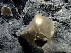 Misteri Bola Emas Misterius di Dasar Laut Akhirnya Terbongkar