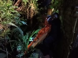 WN Swedia Tewas Akibat Jatuh ke Jurang Ubud