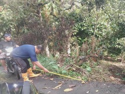 Jalan Kabupaten di Sepang Buleleng Jebol Tergerus Hujan