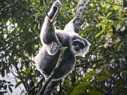 Liburan Seru Dekat dengan Alam di Eiger Adventure Land