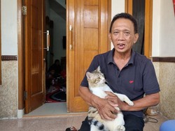 Seorang Cat Lover, Adelia Korban Kecelakaan KA di Bekasi Pelihara 15 Kucing