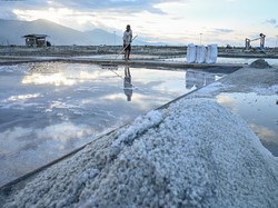 BUMN Ikut Kelola Kawasan Industri Garam di NTT buat Geber Produksi