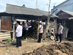 Maling Sapi Teror Tuban Jelang Idul Adha, 6 Ekor Raib dalam Semalam