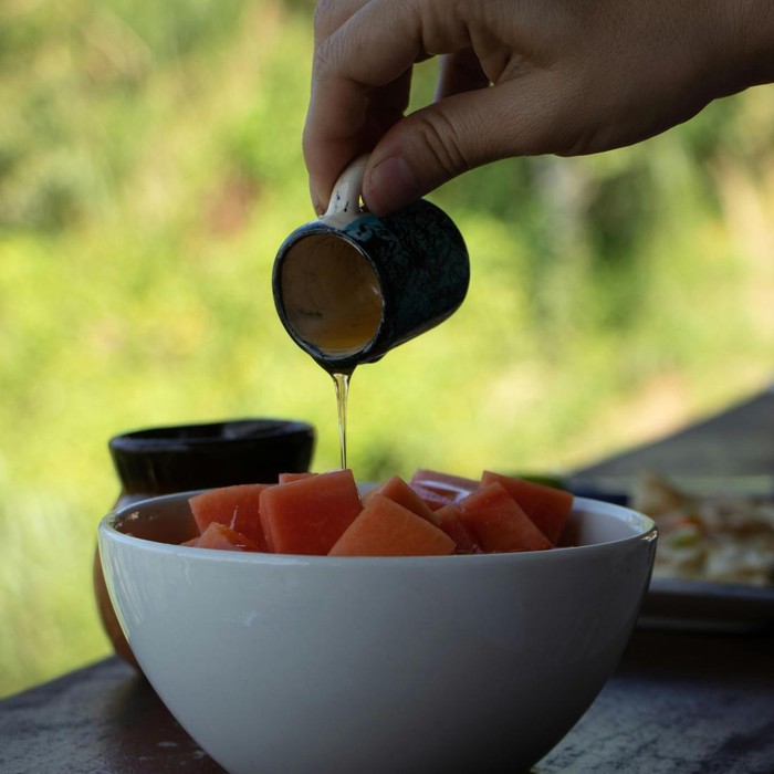 pepaya kerap dikonsumsi sebagai camilan atau diolah menjadi jus untuk sebagian orang. Namun, kamu bisa juga lho mengonsumsi pepaya di pagi hari, khususnya untuk sarapan. Selain praktis dan lezat, mengonsumsi pepaya di pagi hari juga baik untuk kesehatan.
