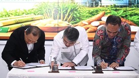 Target E20, Pertamina Perkuat Sinergi Pengembangan Bioetanol Domestik