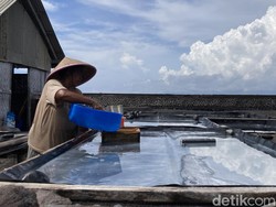 Anomali Cuaca Bikin Petani Garam Kusamba Merugi