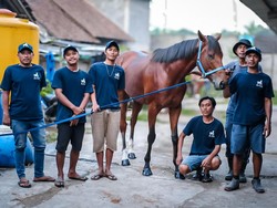 Tentang Blue Blood Stable, Salah Satu Penghasil Kuda Pacuan Terbaik RI
