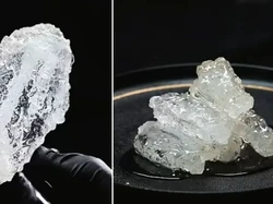 Viral! Food Blogger Ini Bikin Ayam Goreng Transparan Mirip Kaca, Berani Coba?