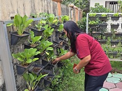 SD di Pucangsawit Solo Sulap Puing Berangkal Jadi Kebun Sirkuler