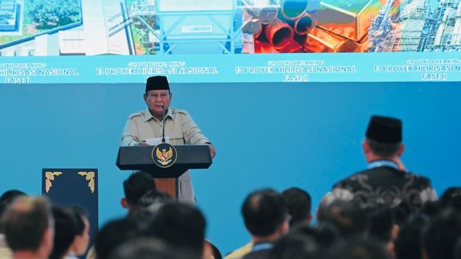 Ke-13 proyek strategis hilirisasi senilai sekitar Rp116 triliun meliputi 5 proyek di sektor energi, 5 proyek di sektor mineral, 3 proyek di sektor pertanian.