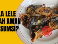 Infografis: Kepala Lele Sering Dipotong-Dibuang, Amankah Dikonsumsi?