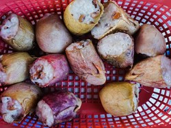 Uniknya Kue Kantong Semar Khas Kalimantan Barat, Ini Resepnya